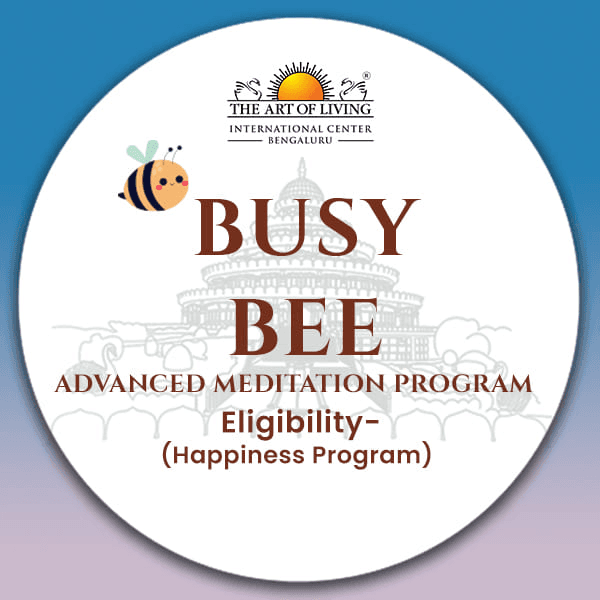 3-Day Busy Bee AMP